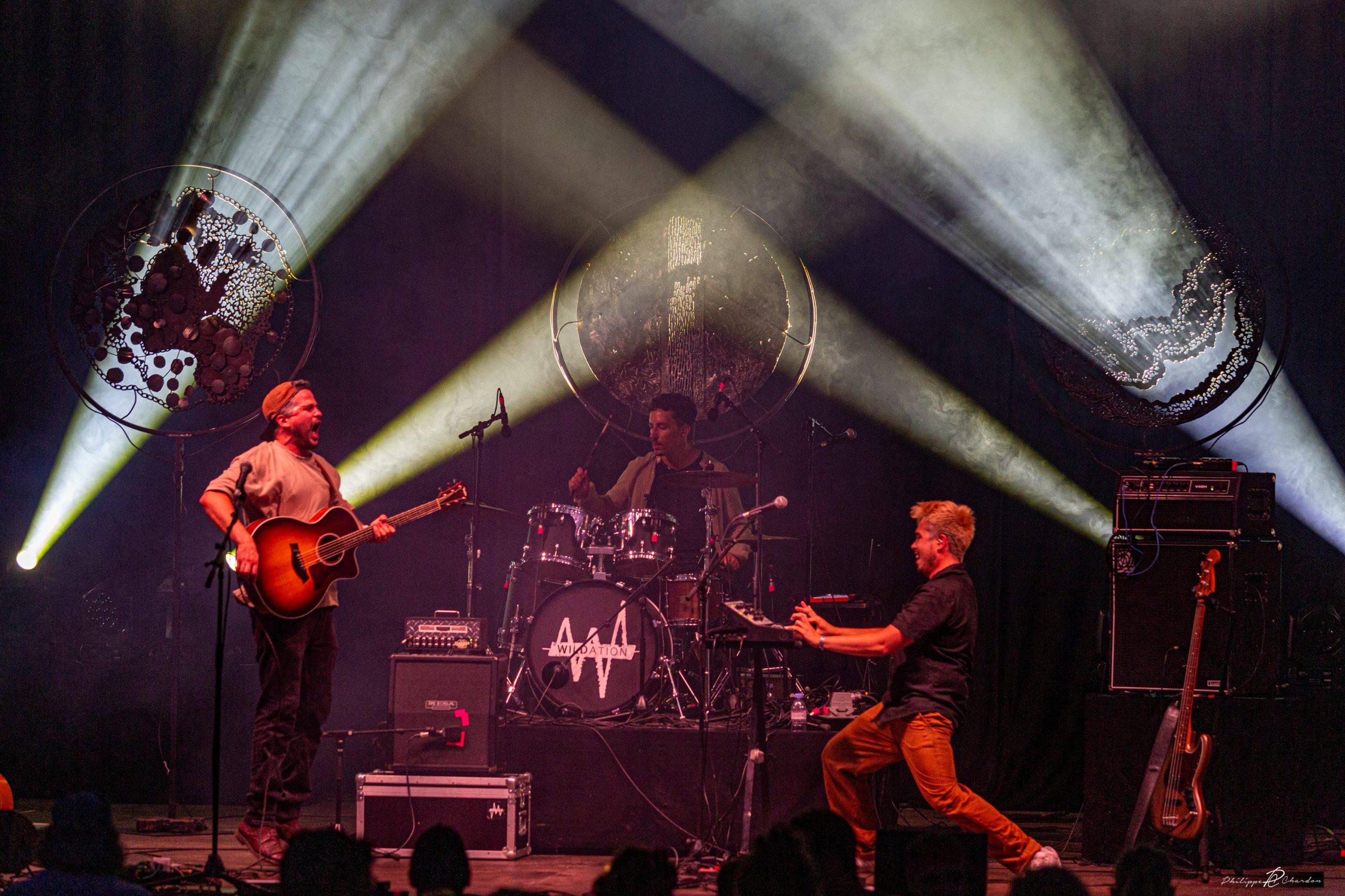 Wildation CaP24229 scaled