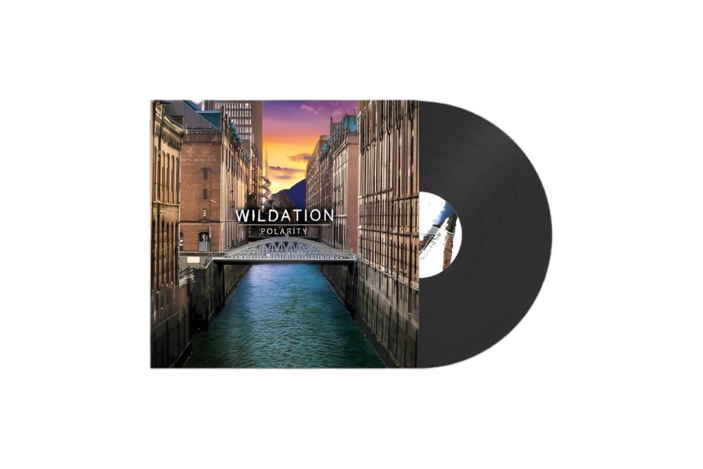 Wildation Vinyle Polarity